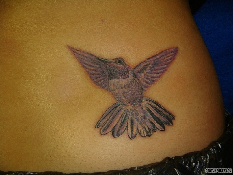 Фотография татуировки под названием «Сиреневая колибри»