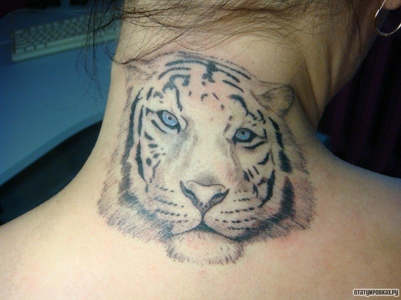 Фотография татуировки под названием «Тигр с голбуыми глазами»