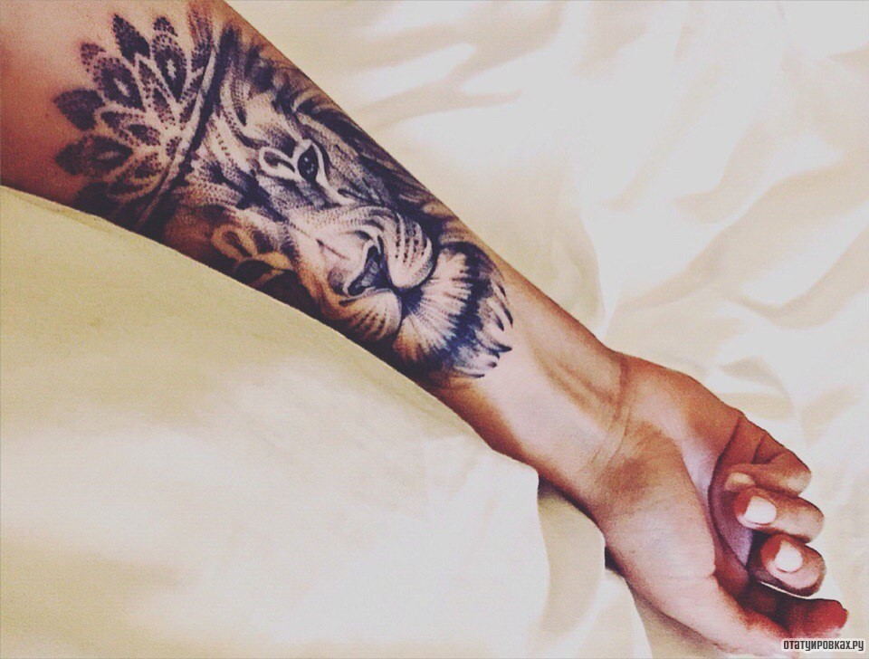 Фотография татуировки под названием «Лев»