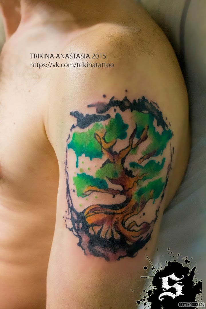 Фотография татуировки под названием «Дерево круг»