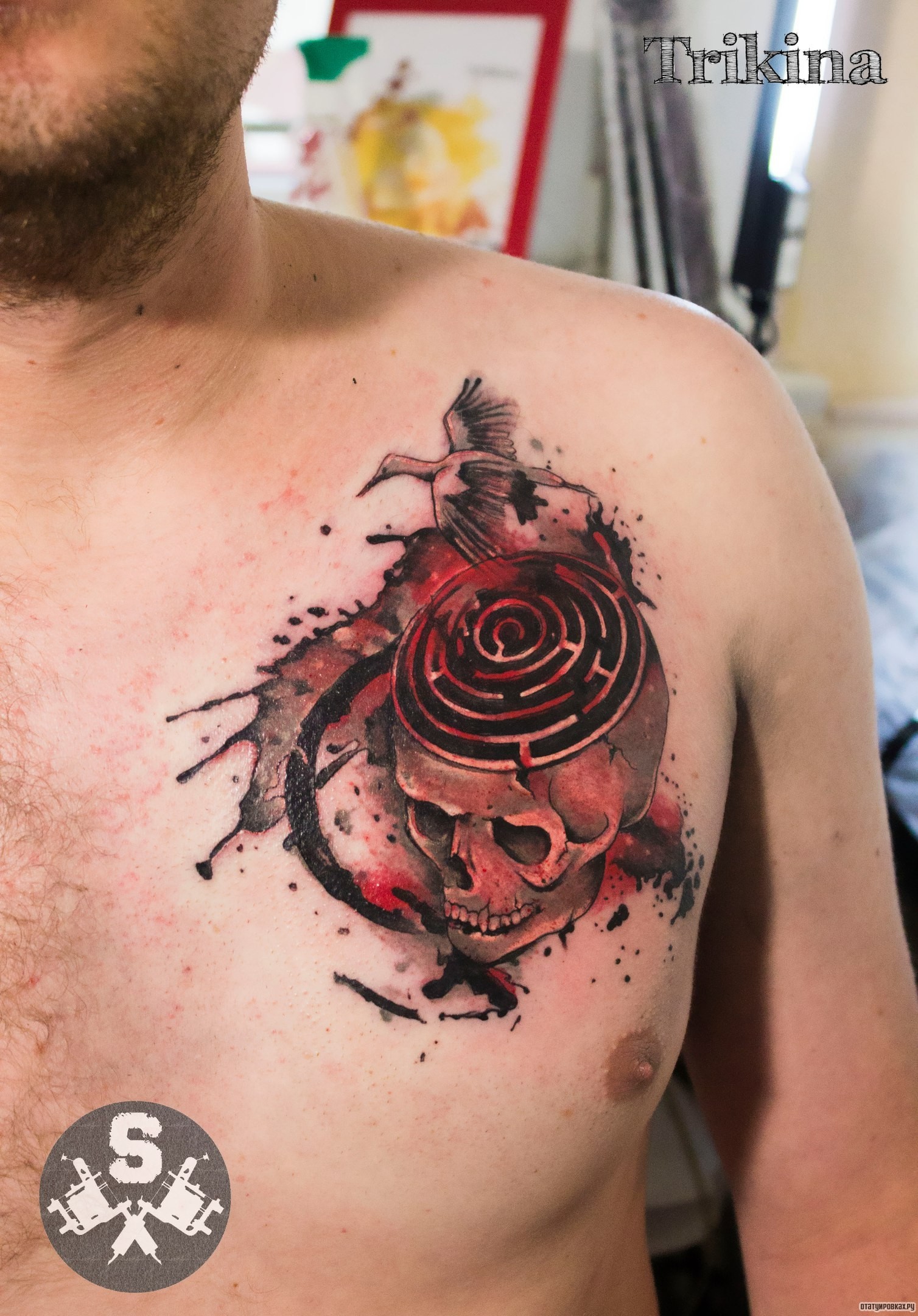 Фотография татуировки под названием «Журавль и череп с лабиринтом»