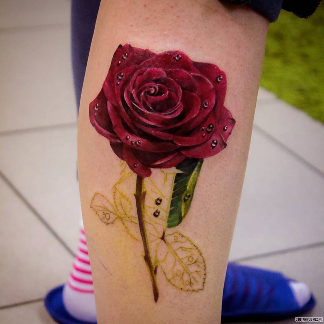 Фотография татуировки под названием «Роза реализм»