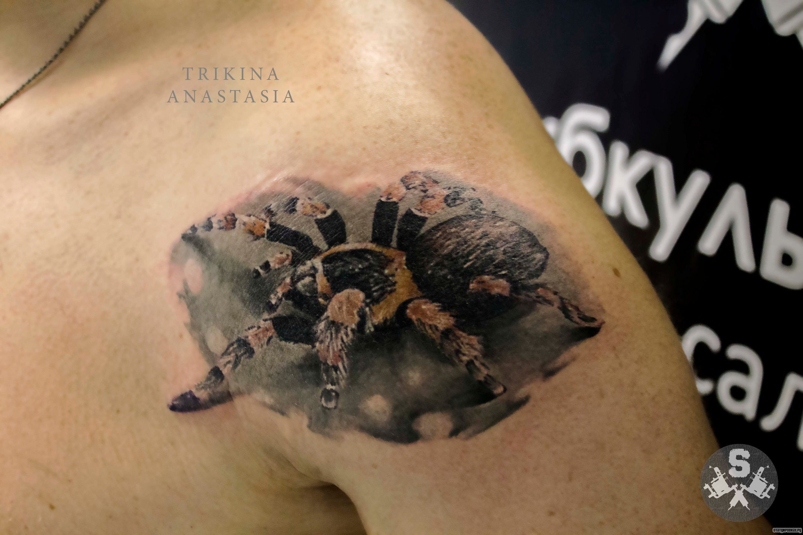 Фотография татуировки под названием «Паук тарантул 3д»