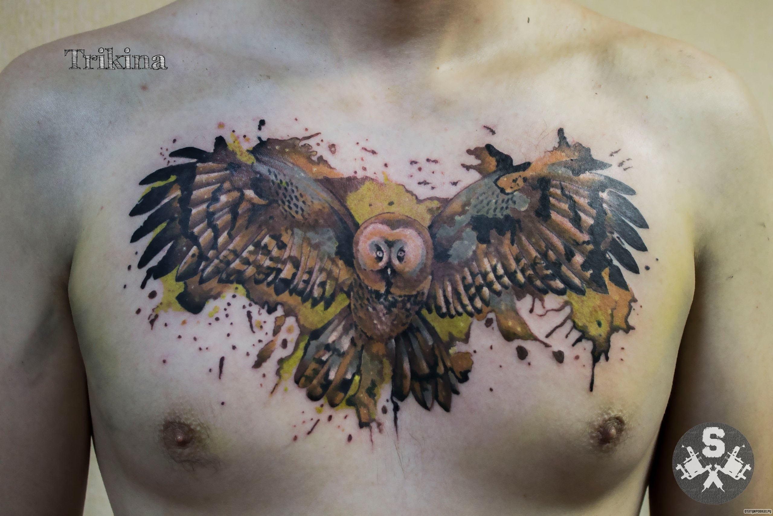 Фотография татуировки под названием «Сова в полете акварель»