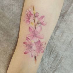 Тату цветы сакуры нежные