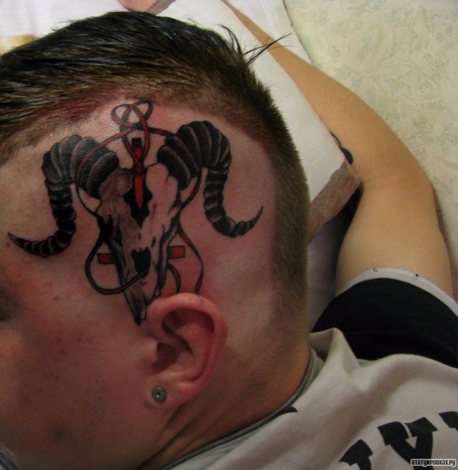 Фотография татуировки под названием «Череп животного рогатый»