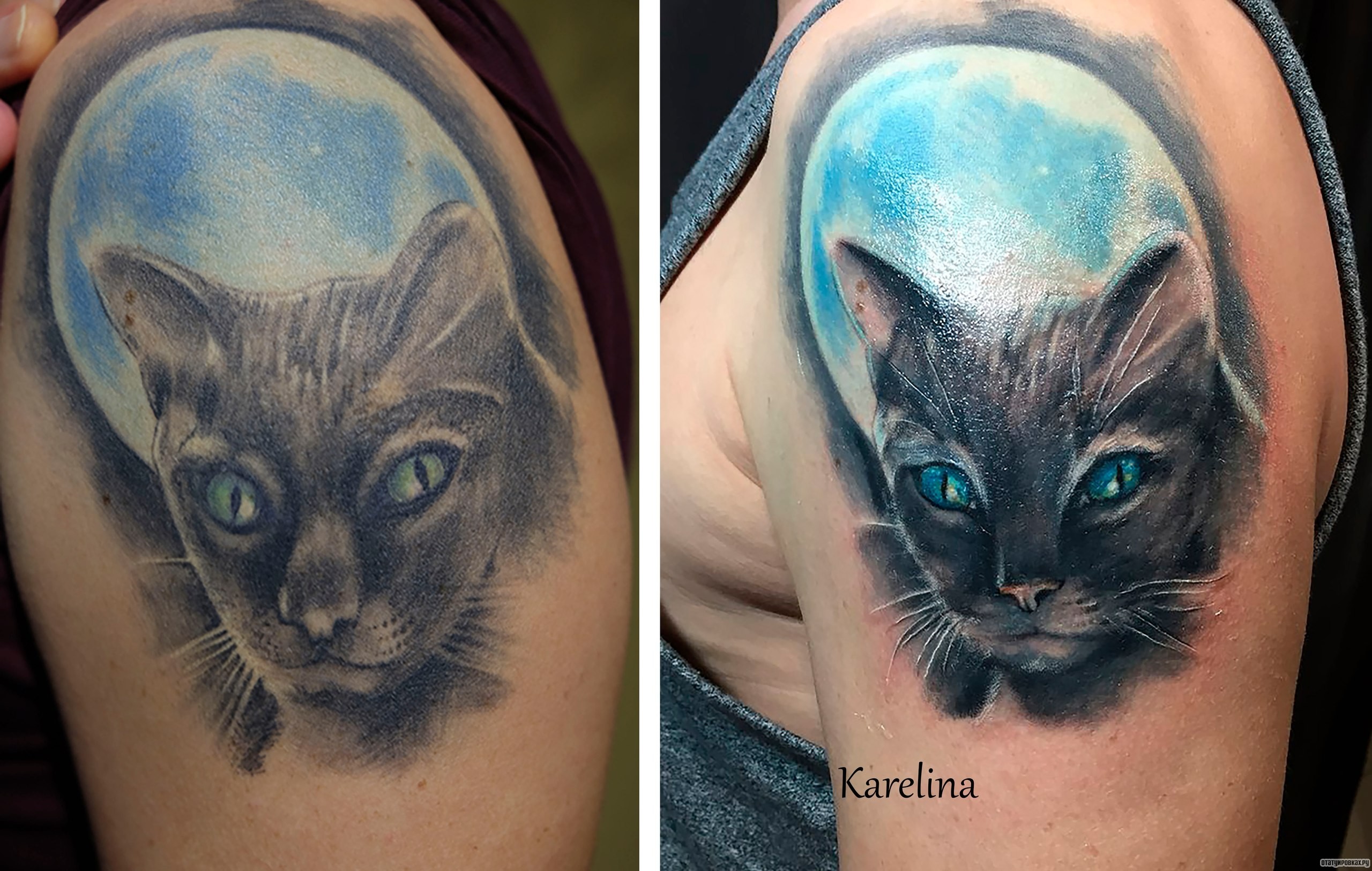 Фотография татуировки под названием «Кот с синими глазами перекрытие»