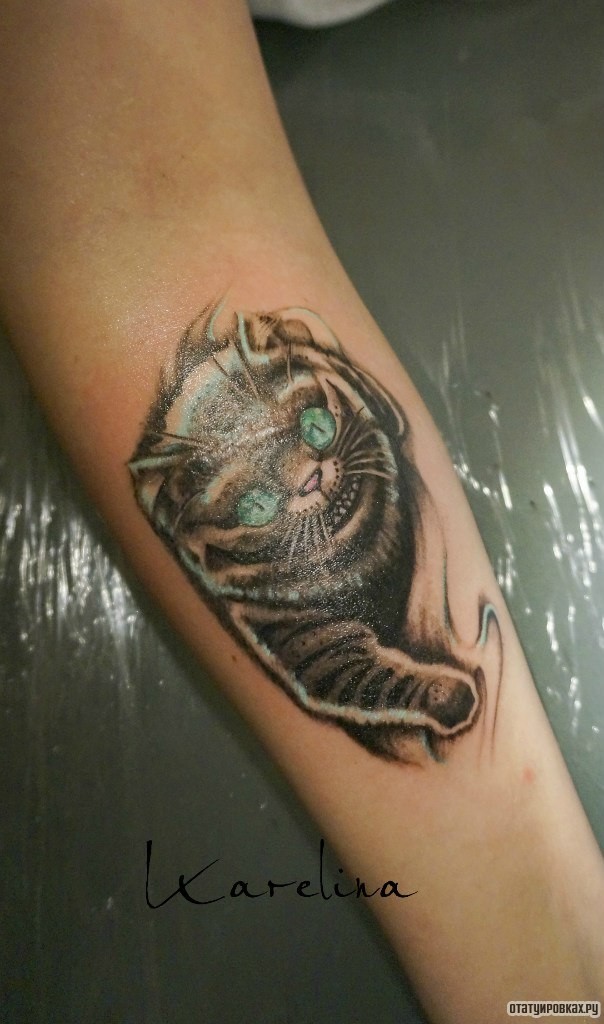 Фотография татуировки под названием «Кот с голубыми глазами»