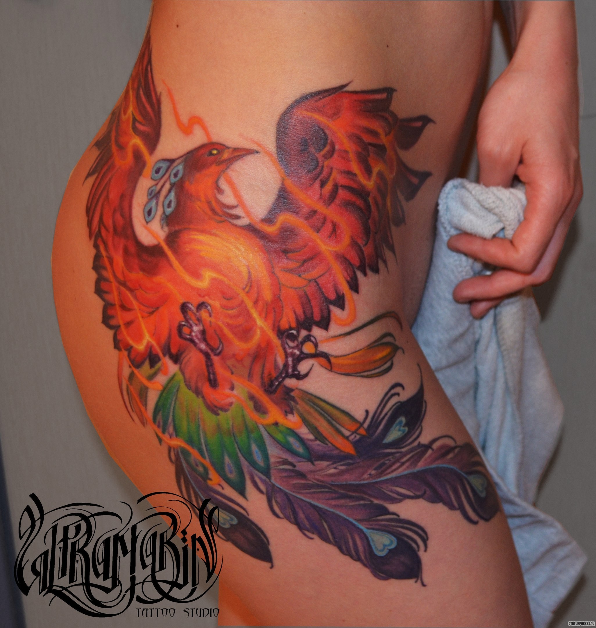 Фотография татуировки под названием «Жар птица разноцветная»