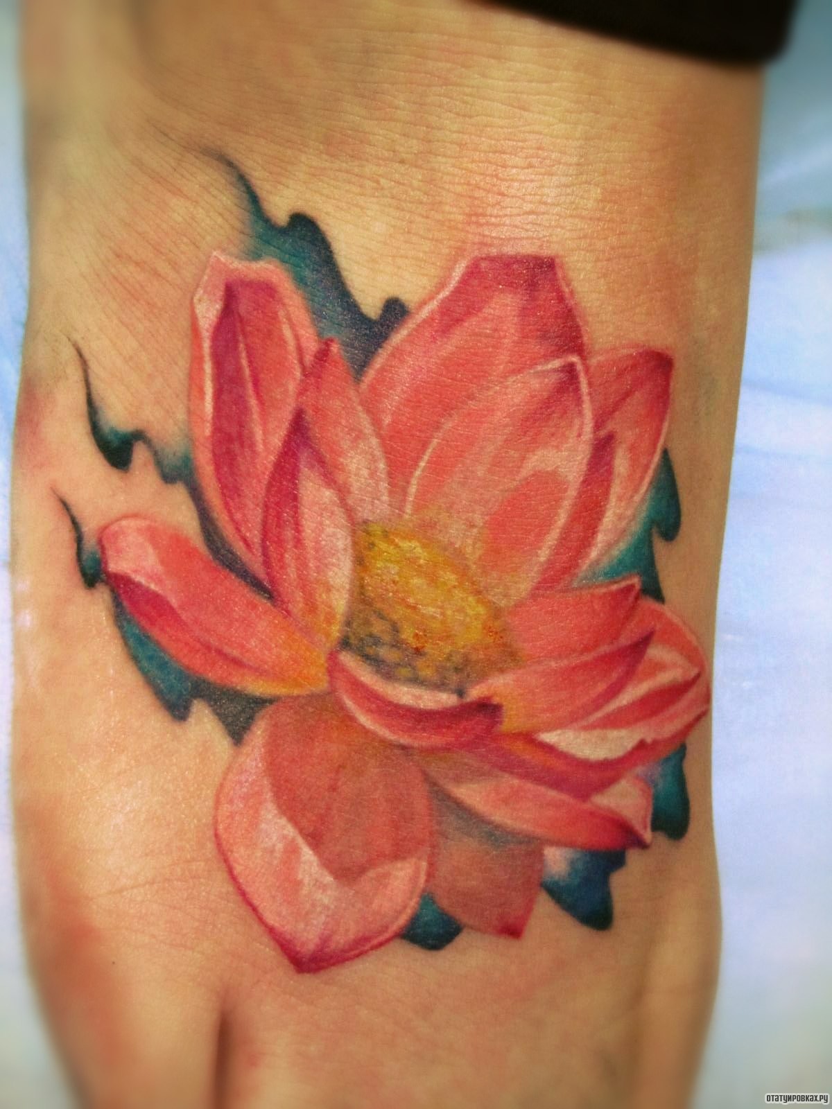 Фотография татуировки под названием «Розовый лотос»