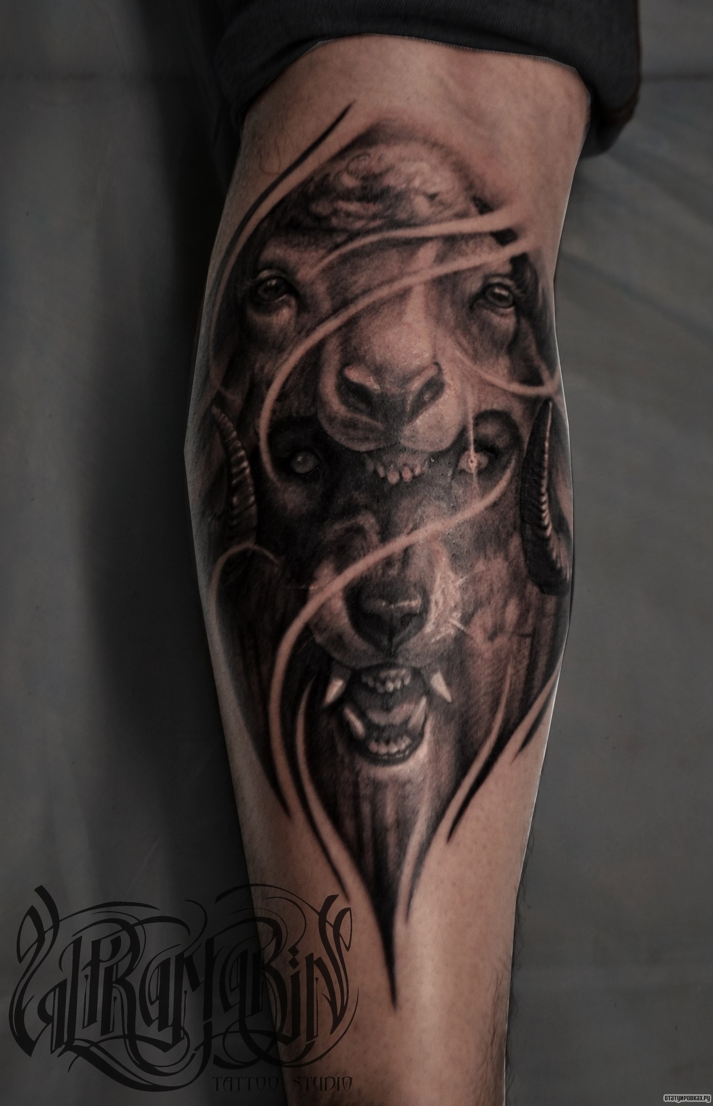Фотография татуировки под названием «Волк и череп животного под кожей»