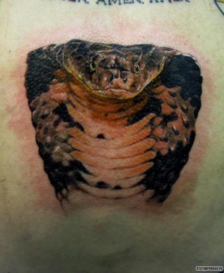 Фотография татуировки под названием «Взгляд кобры»