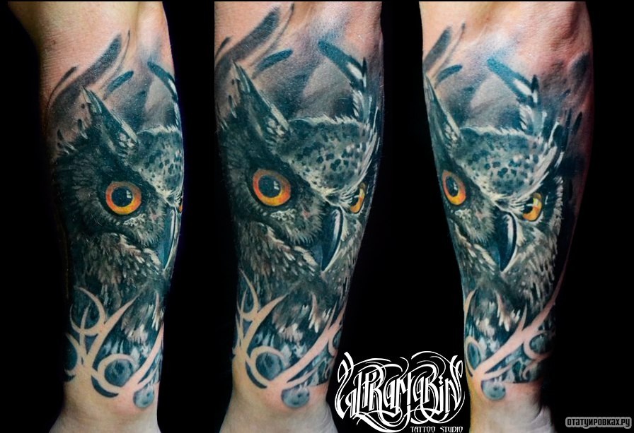 Фотография татуировки под названием «Морда совы»