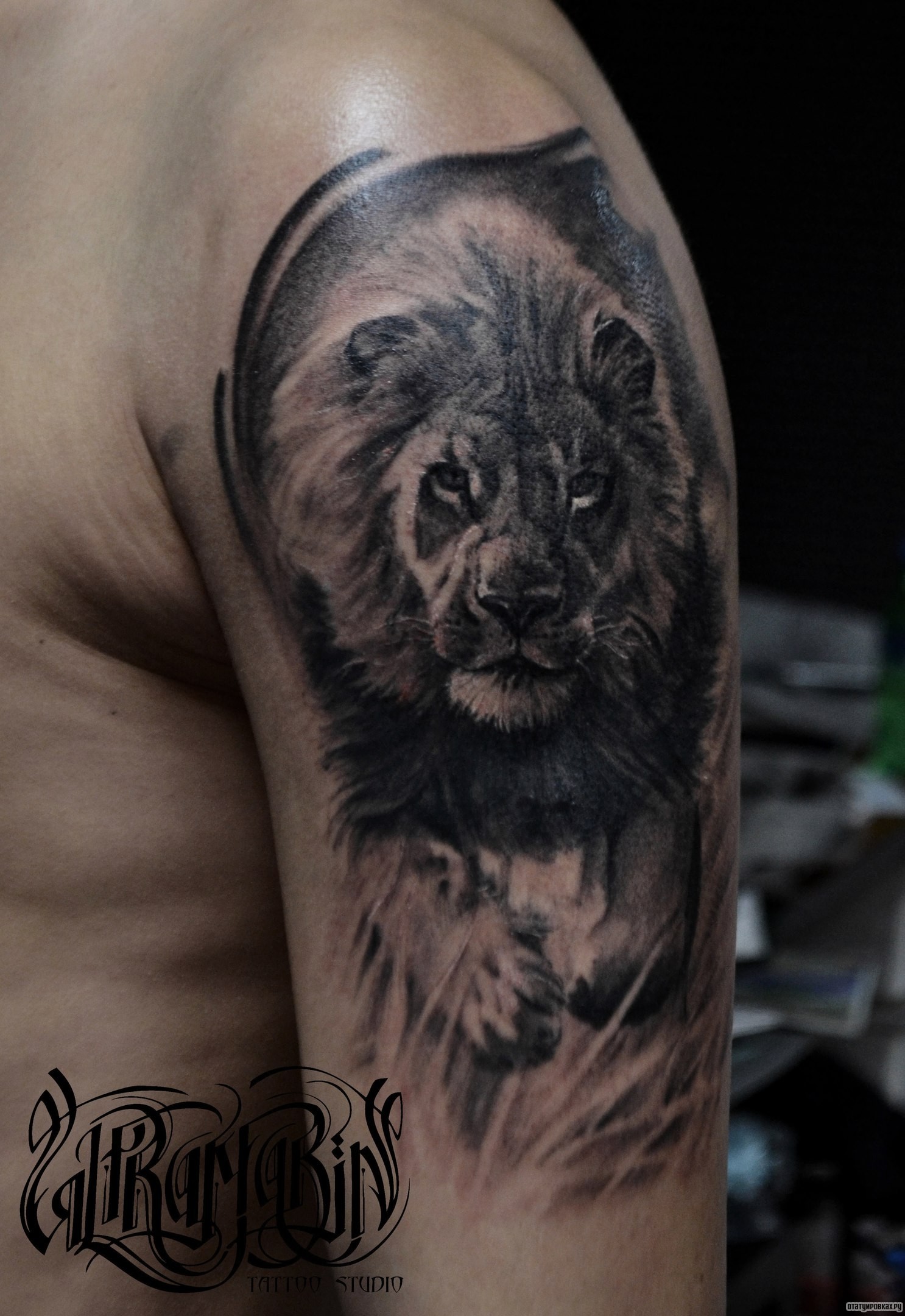 Фотография татуировки под названием «Лев в траве»