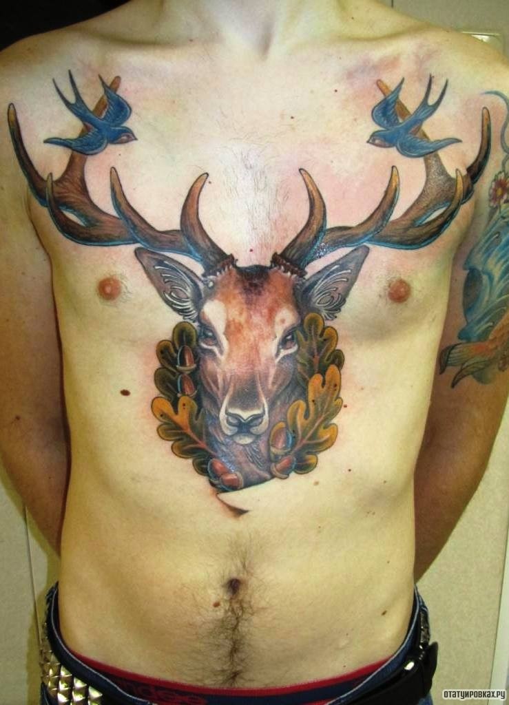 Фотография татуировки под названием «Большой олень с ласточками»
