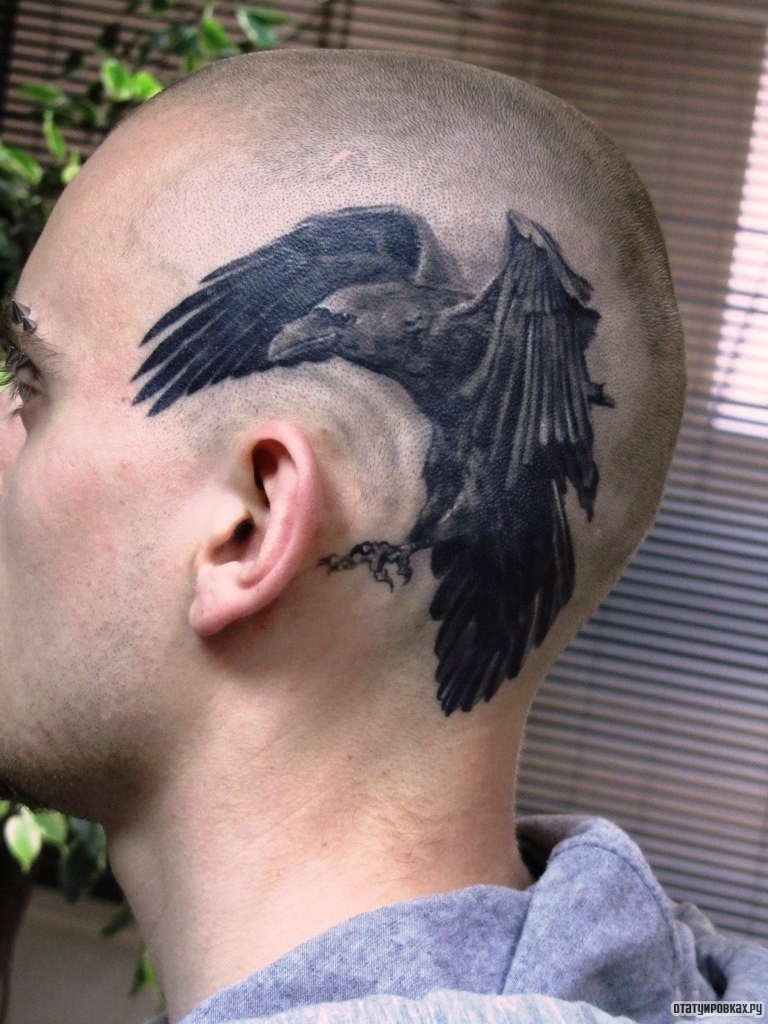 Фотография татуировки под названием «Ворона на голове»