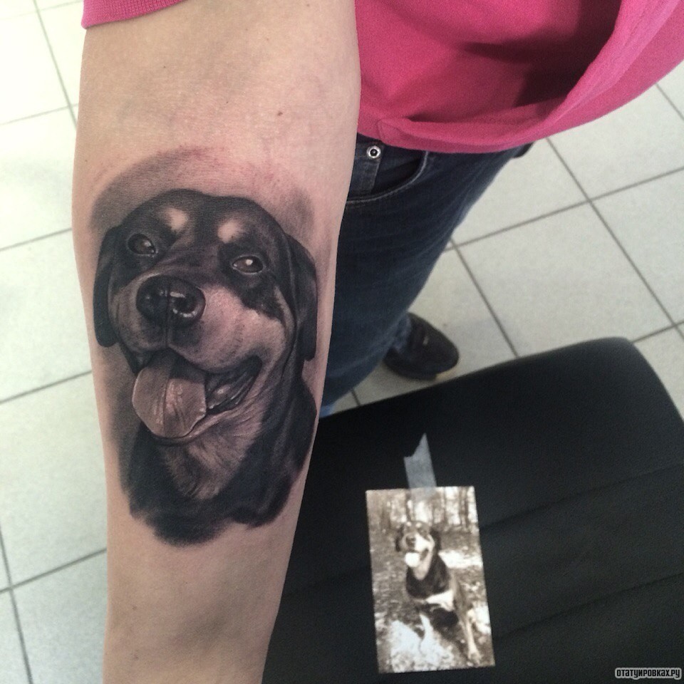 Фотография татуировки под названием «Собака портрет»
