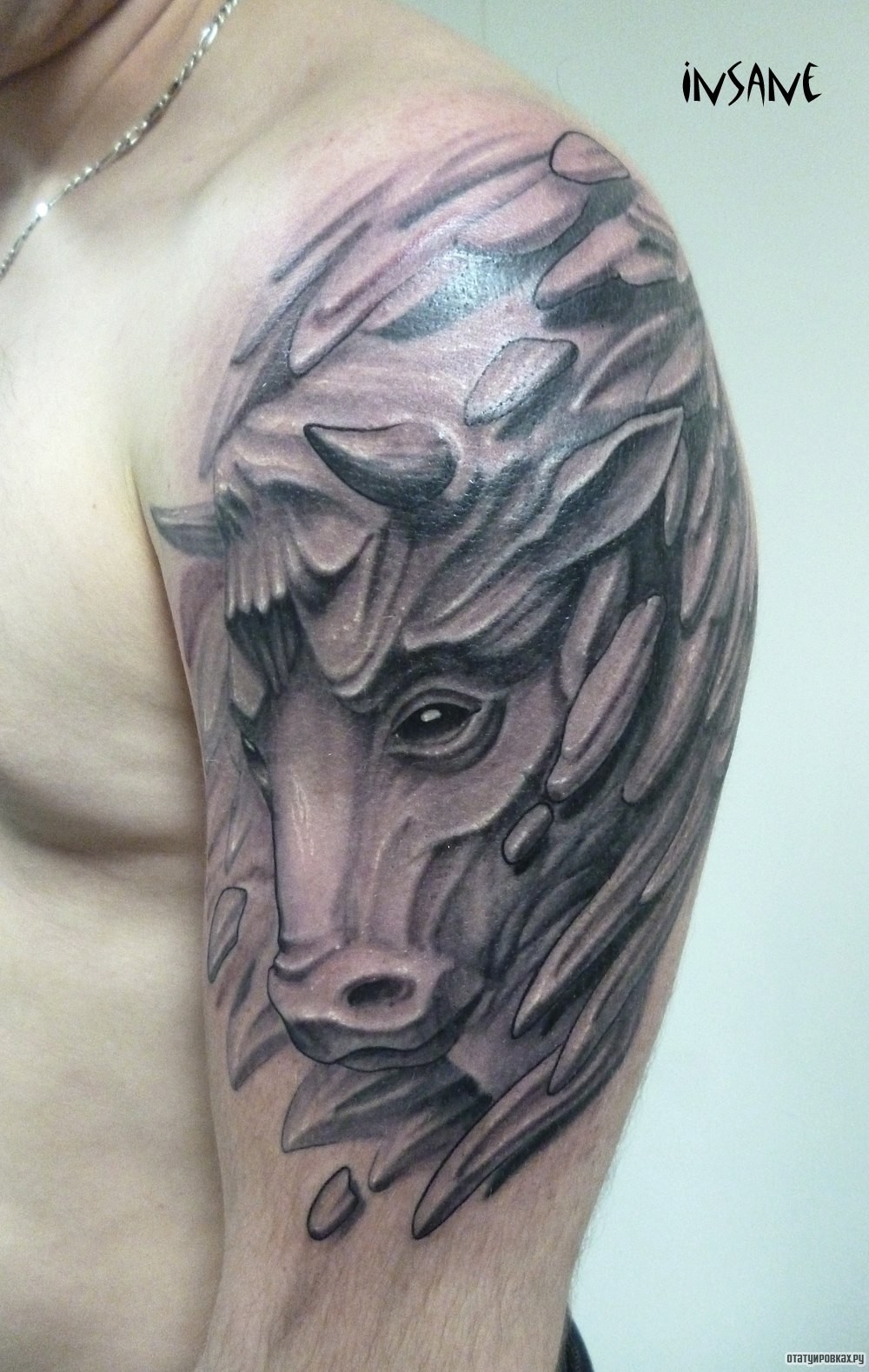 Фотография татуировки под названием «Конь с рогами»