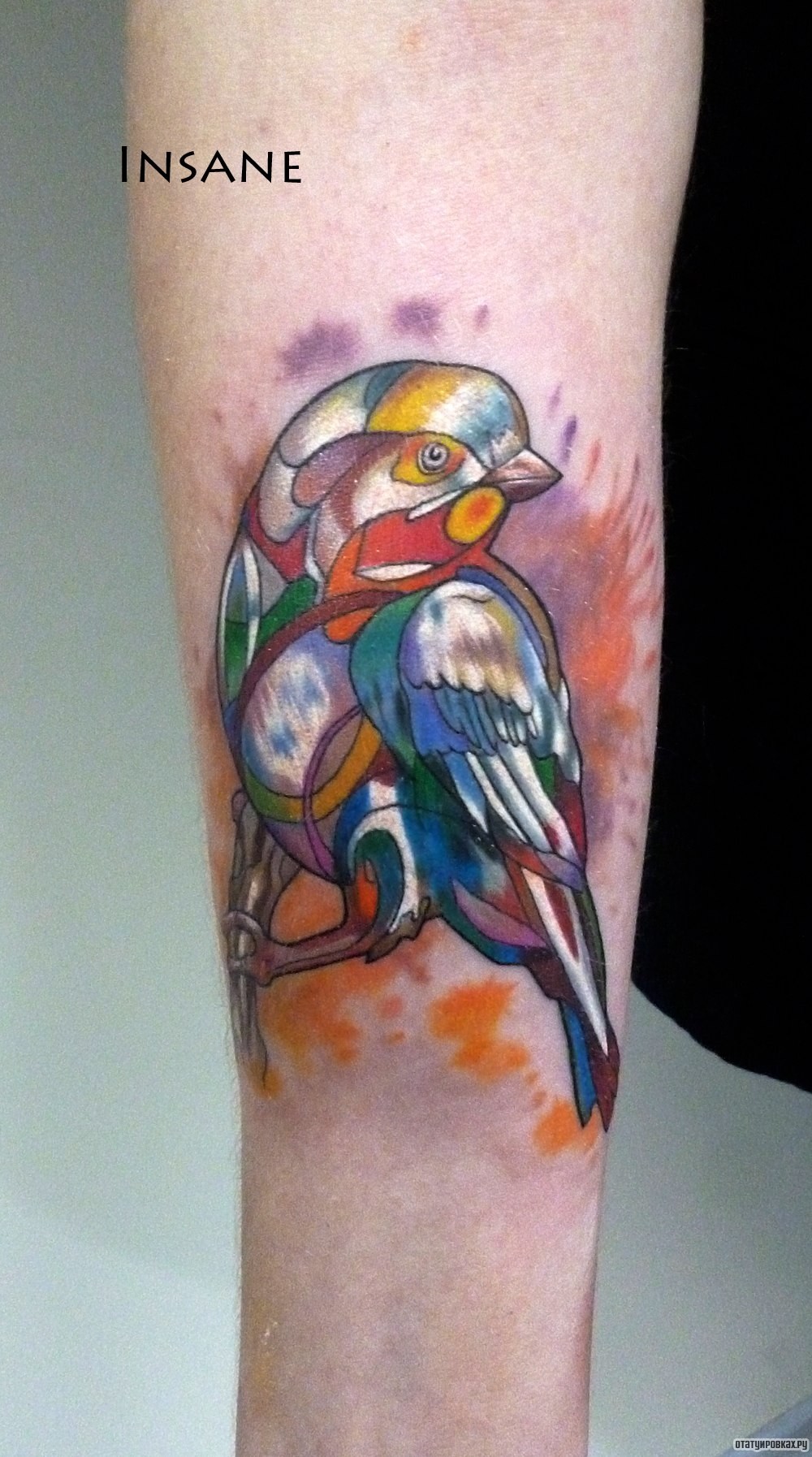 Фотография татуировки под названием «Птичка из разных цветов»