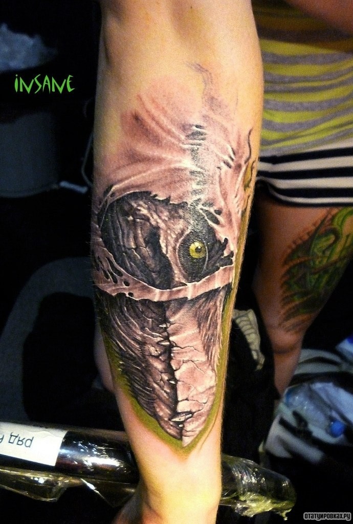 Фотография татуировки под названием «Глаз крокодила»