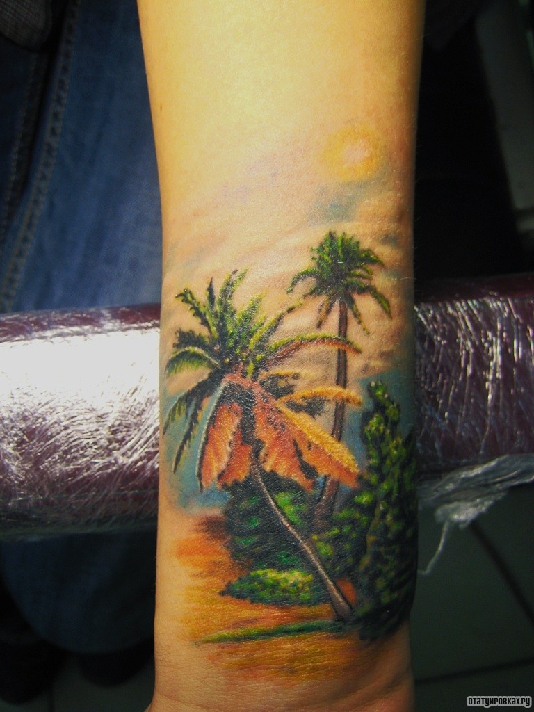 Фотография татуировки под названием «Пальмы природа»