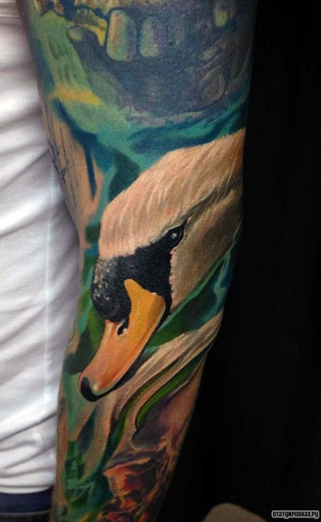 Фотография татуировки под названием «Морда лебедя»