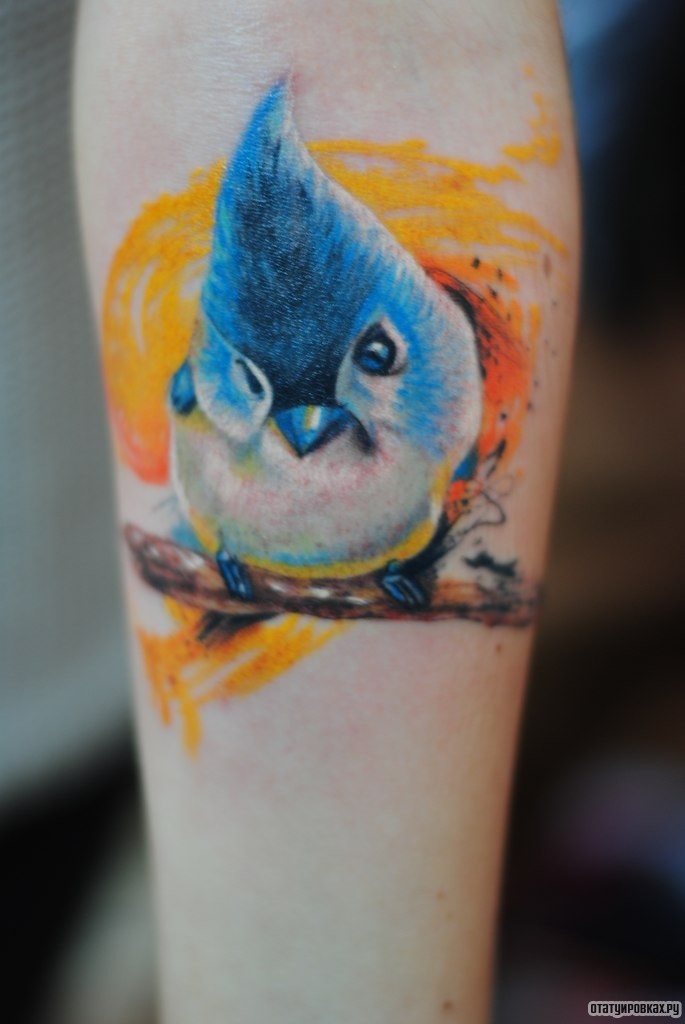Фотография татуировки под названием «Синяя птичка на ветке»