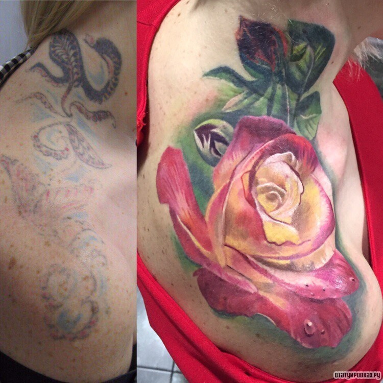 Фотография татуировки под названием «Розовая роза и зеленые листья»
