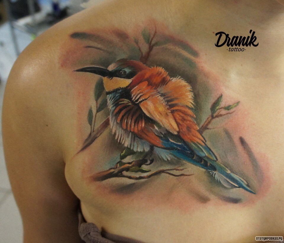 Фотография татуировки под названием «Птица на ветке»
