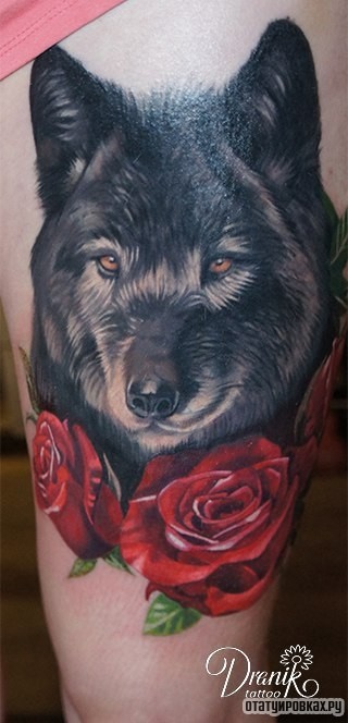 Фотография татуировки под названием «Волк с двумя розами»