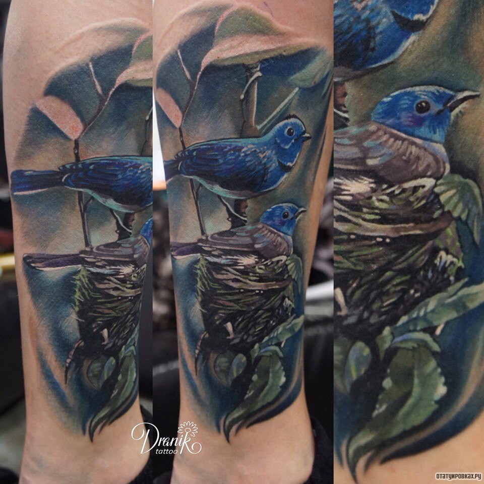 Фотография татуировки под названием «Две синеголовых птички»