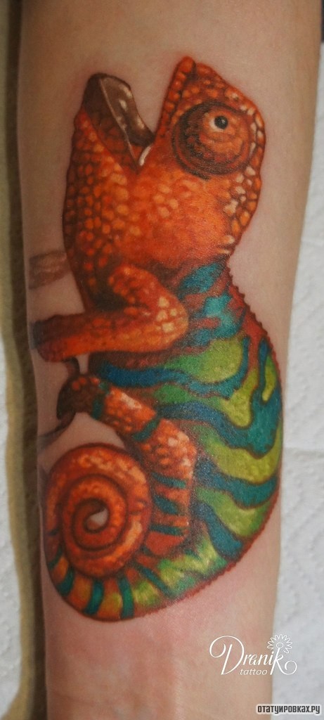 Фотография татуировки под названием «Хамелеон»