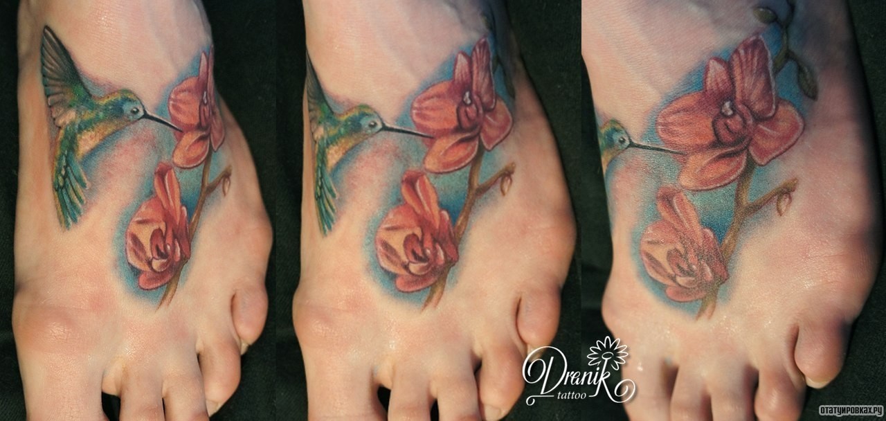 Фотография татуировки под названием «Цветы и колибри»