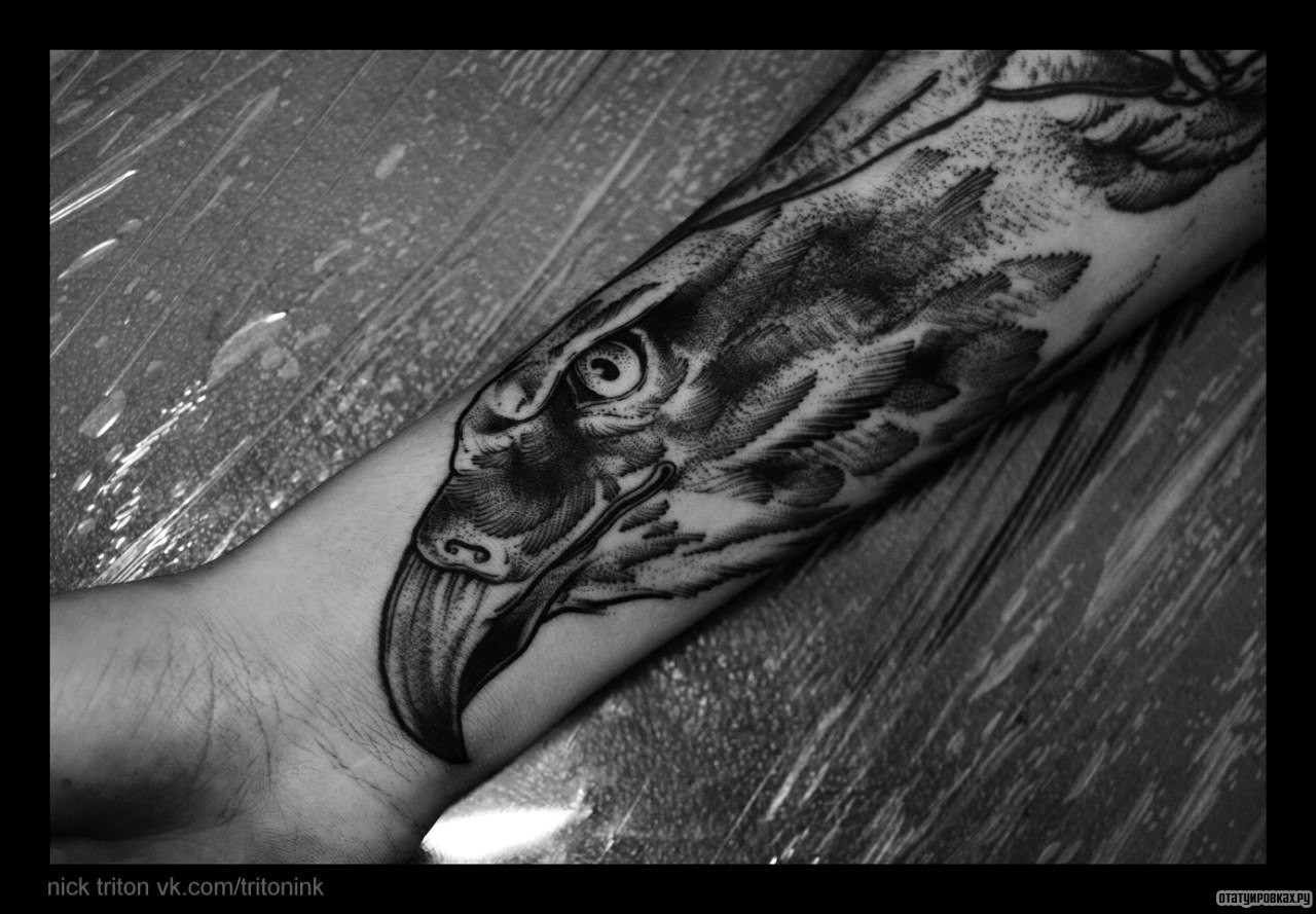 Фотография татуировки под названием «Голова орла»