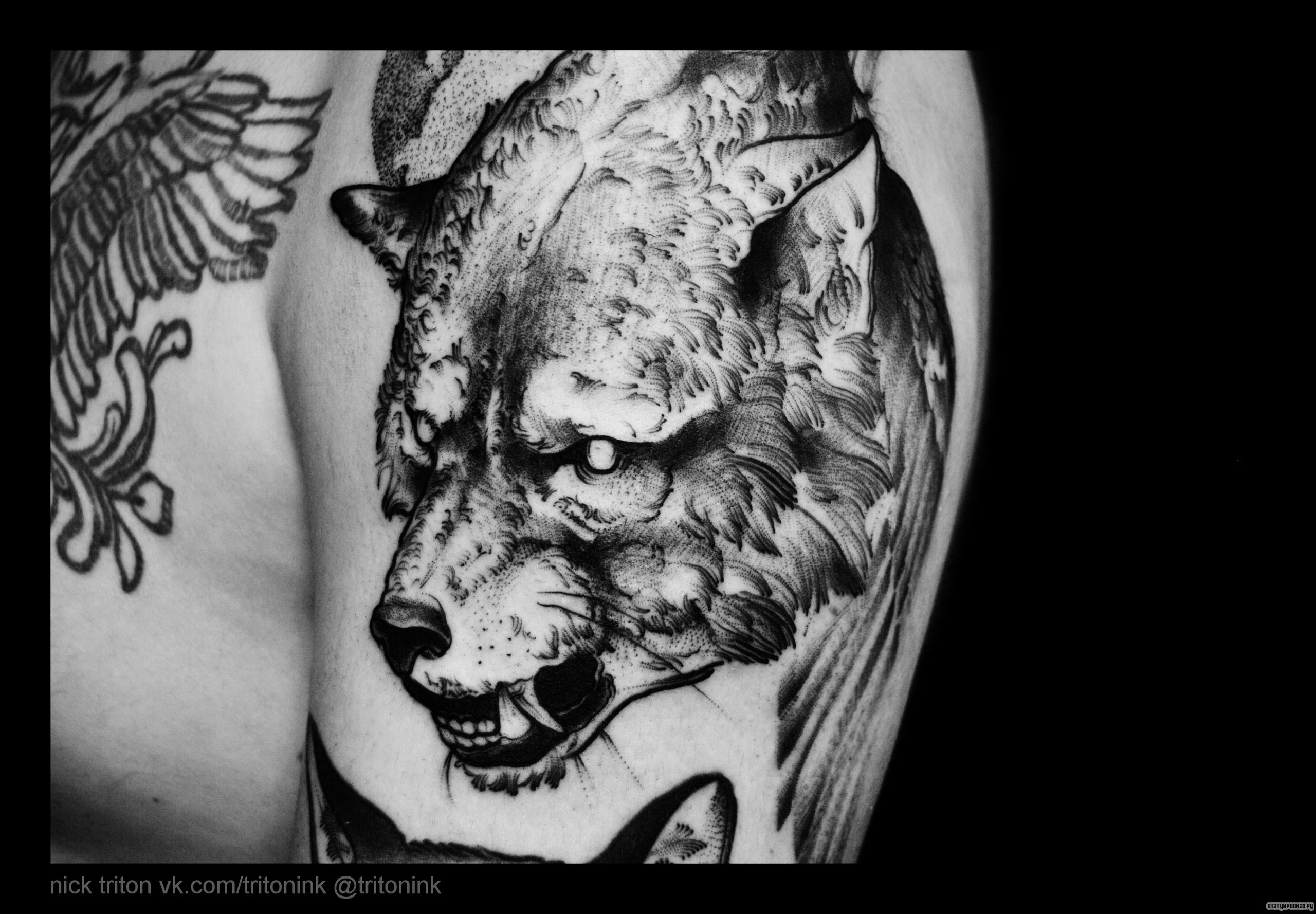 Фотография татуировки под названием «Клыки волка»