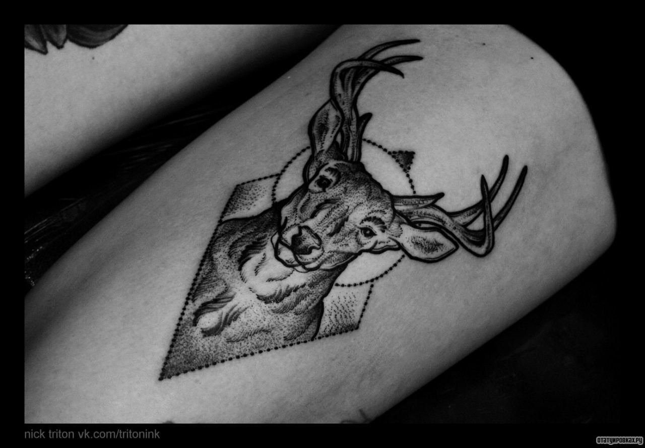 Фотография татуировки под названием «Олень в геометрии»
