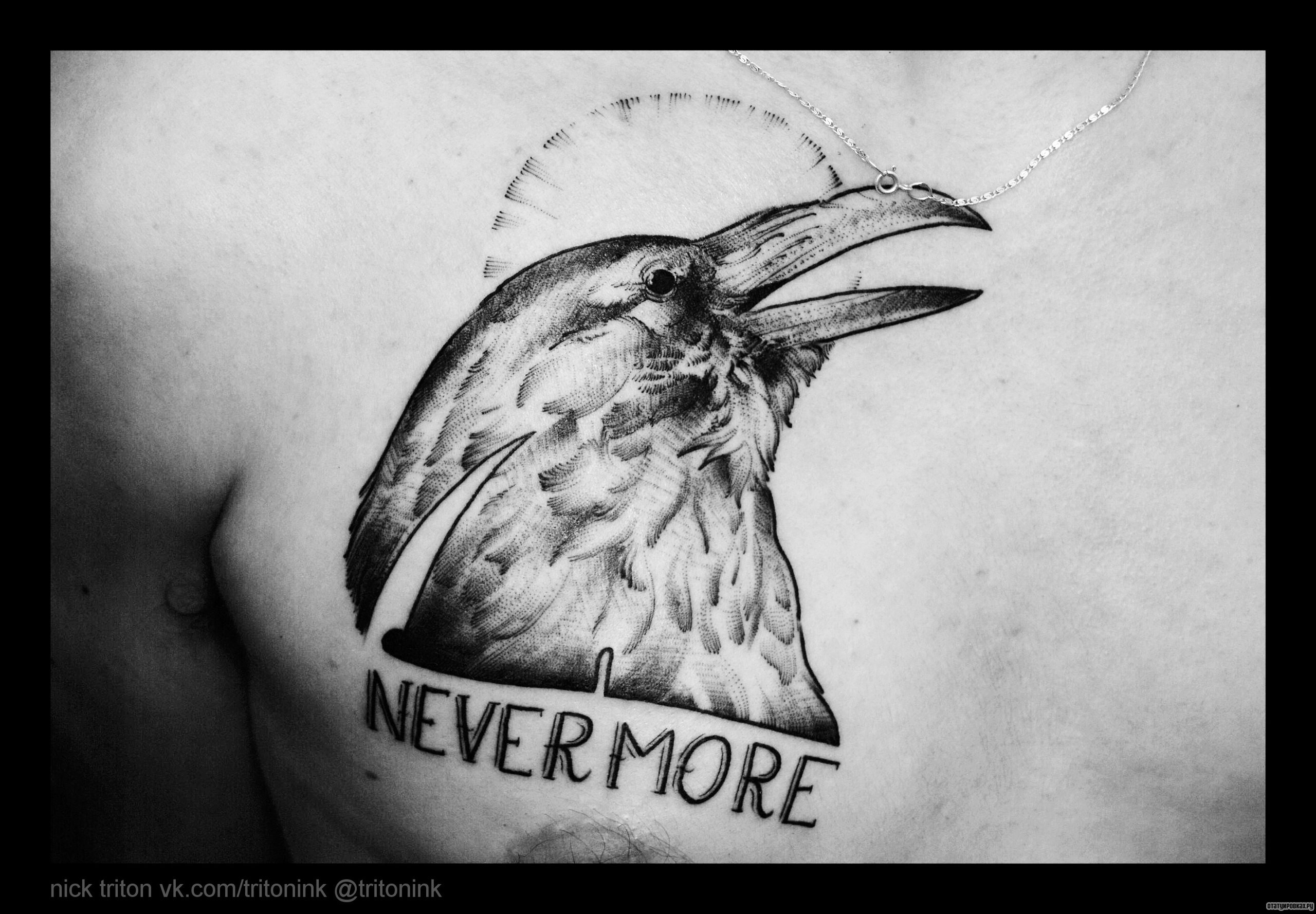 Фотография татуировки под названием «Ворон с открытым клювом и надписью never more»