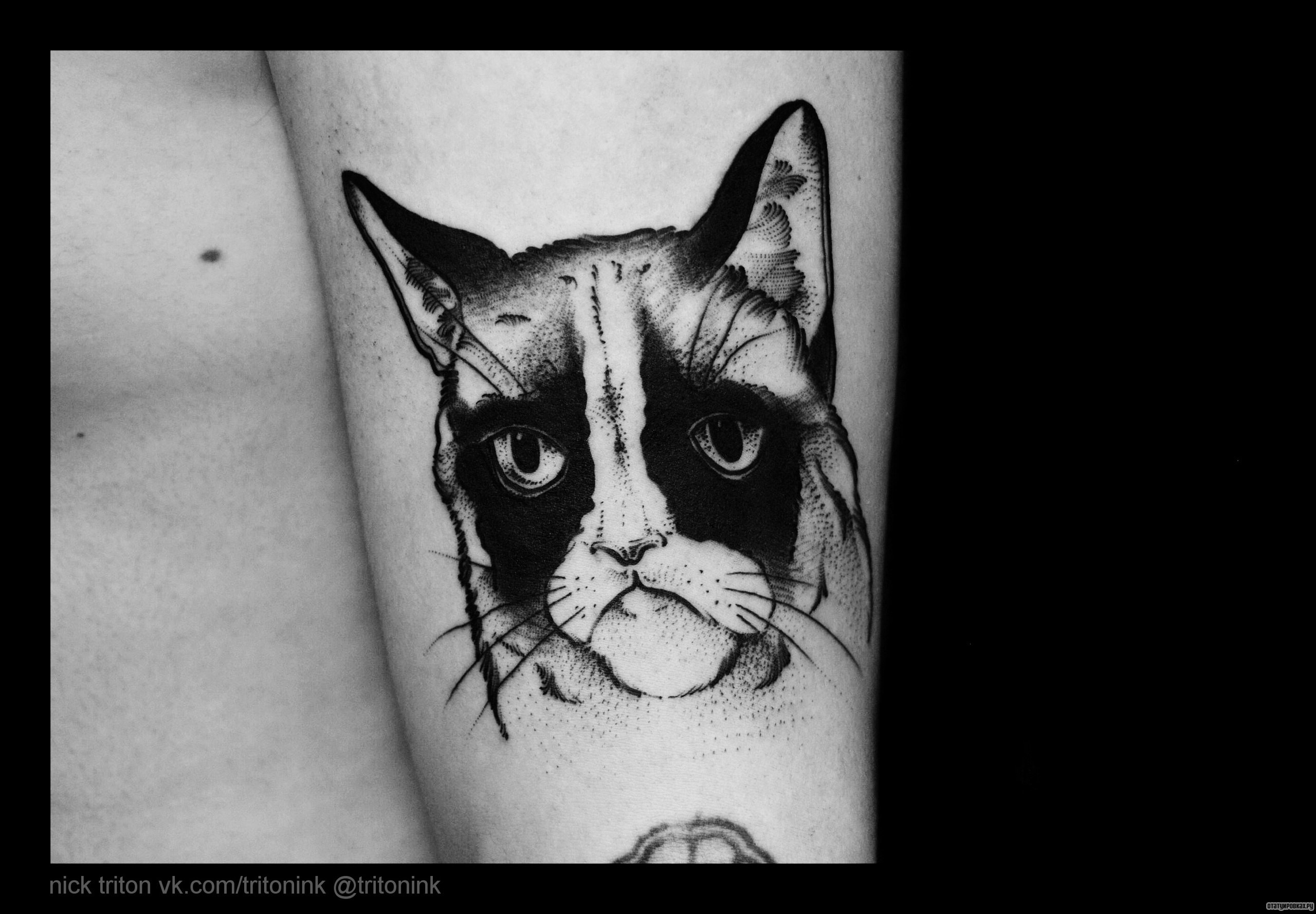 Фотография татуировки под названием «Унылый кот»