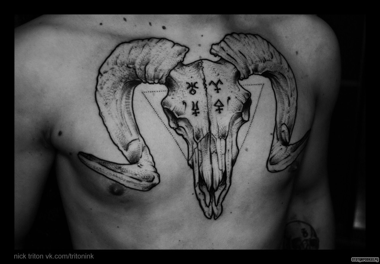 Фотография татуировки под названием «Череп барана»