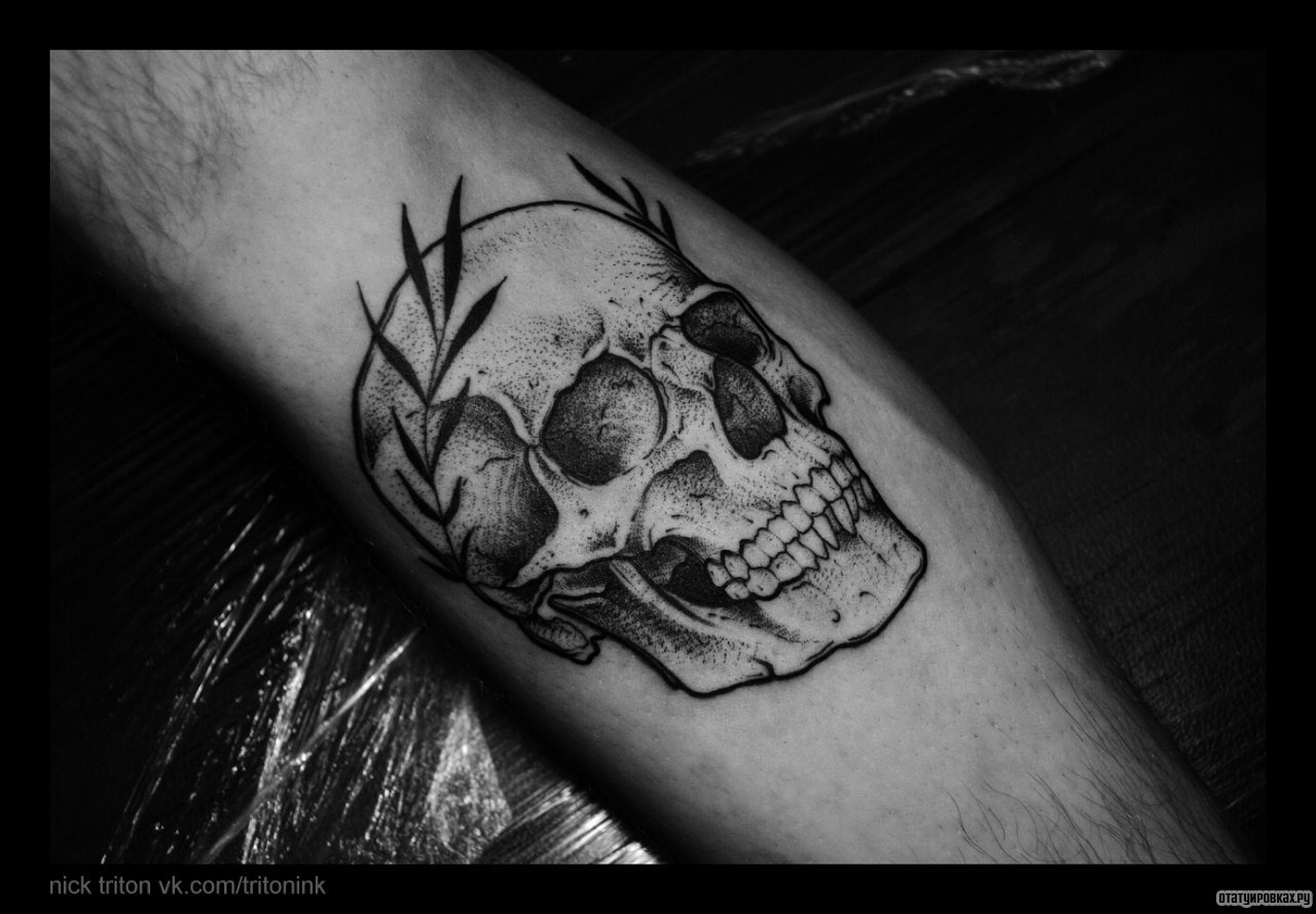 Фотография татуировки под названием «Череп и ветки»