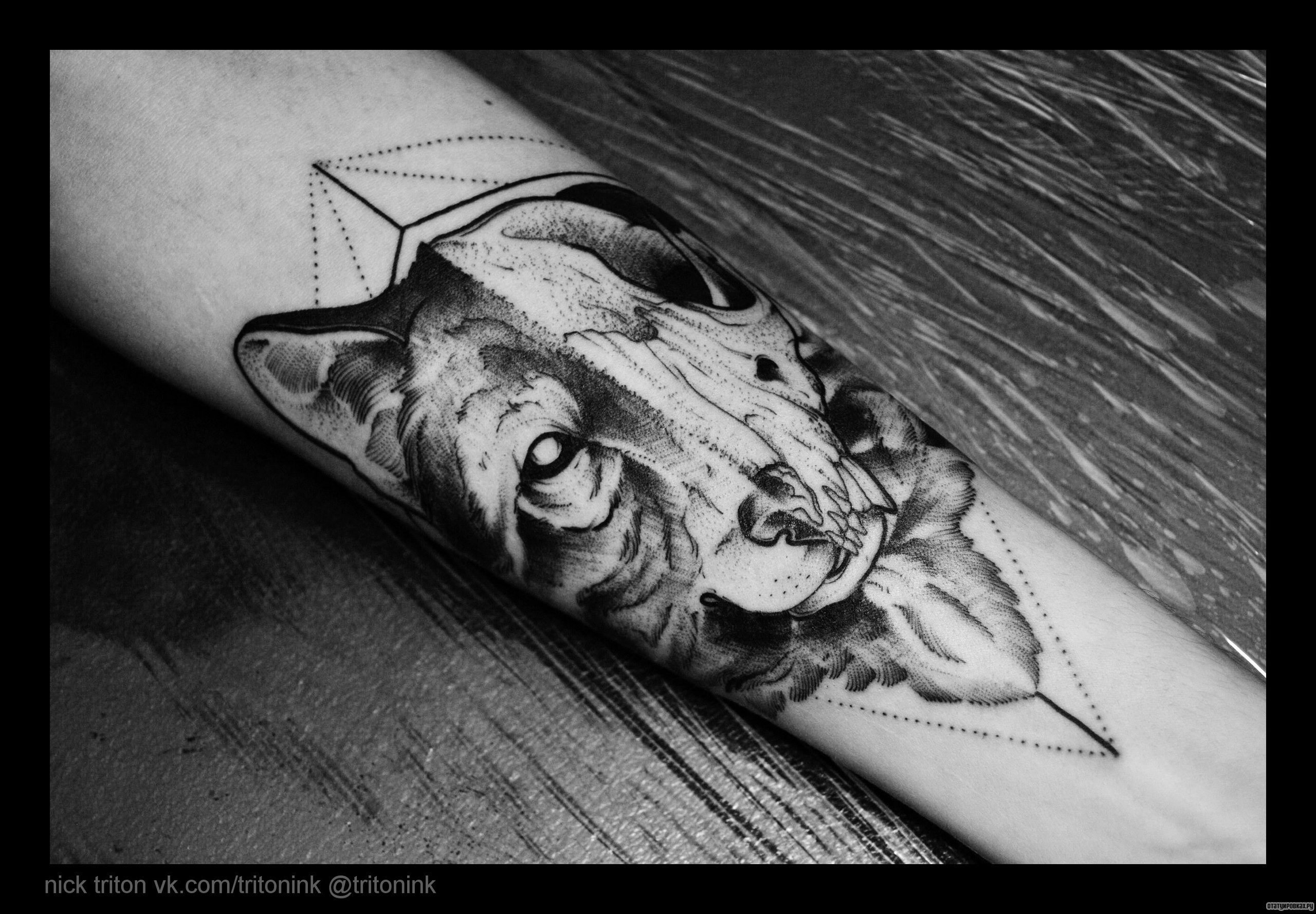 Фотография татуировки под названием «Волк и череп»