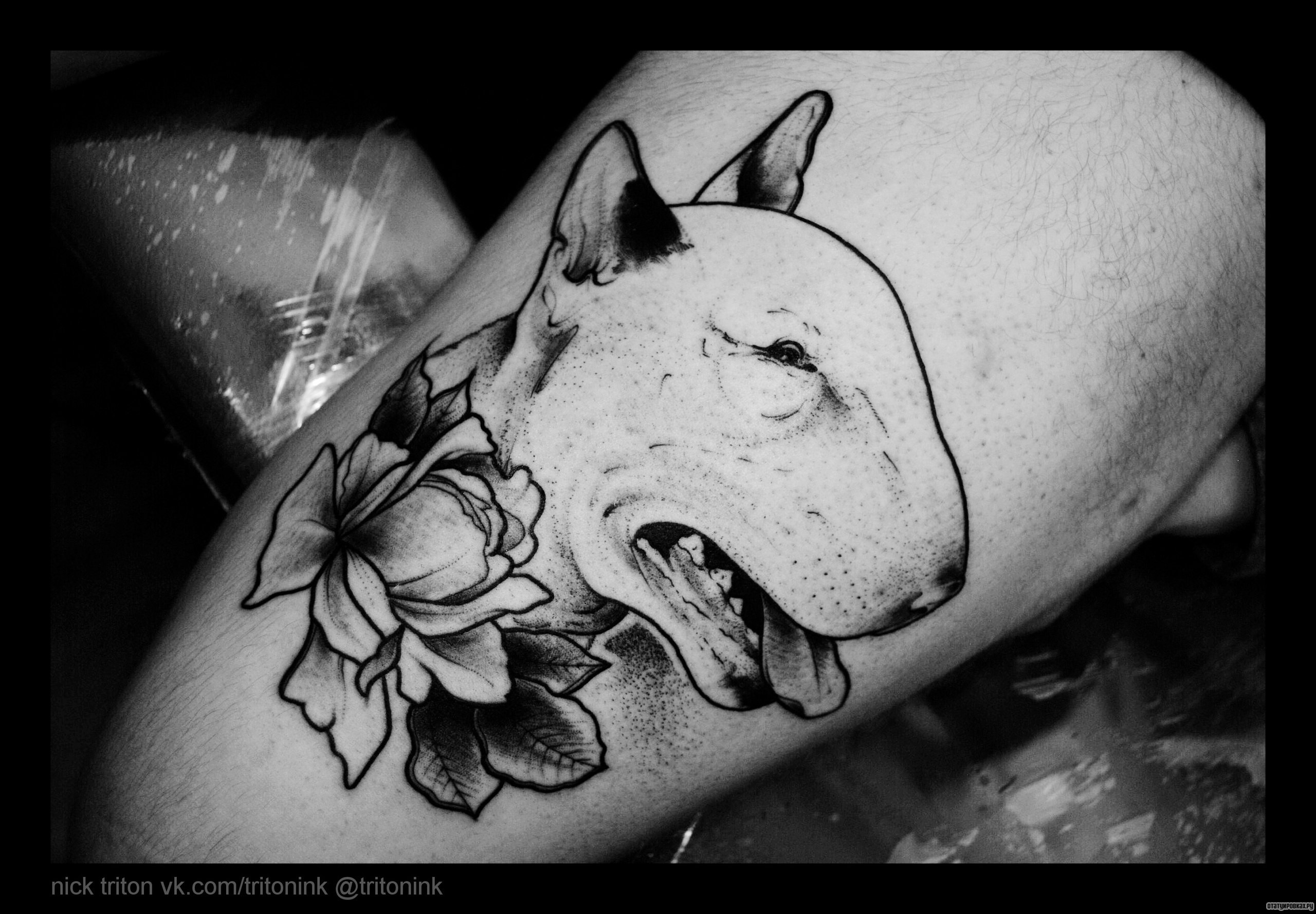 Фотография татуировки под названием «Бультерьер с цветами»