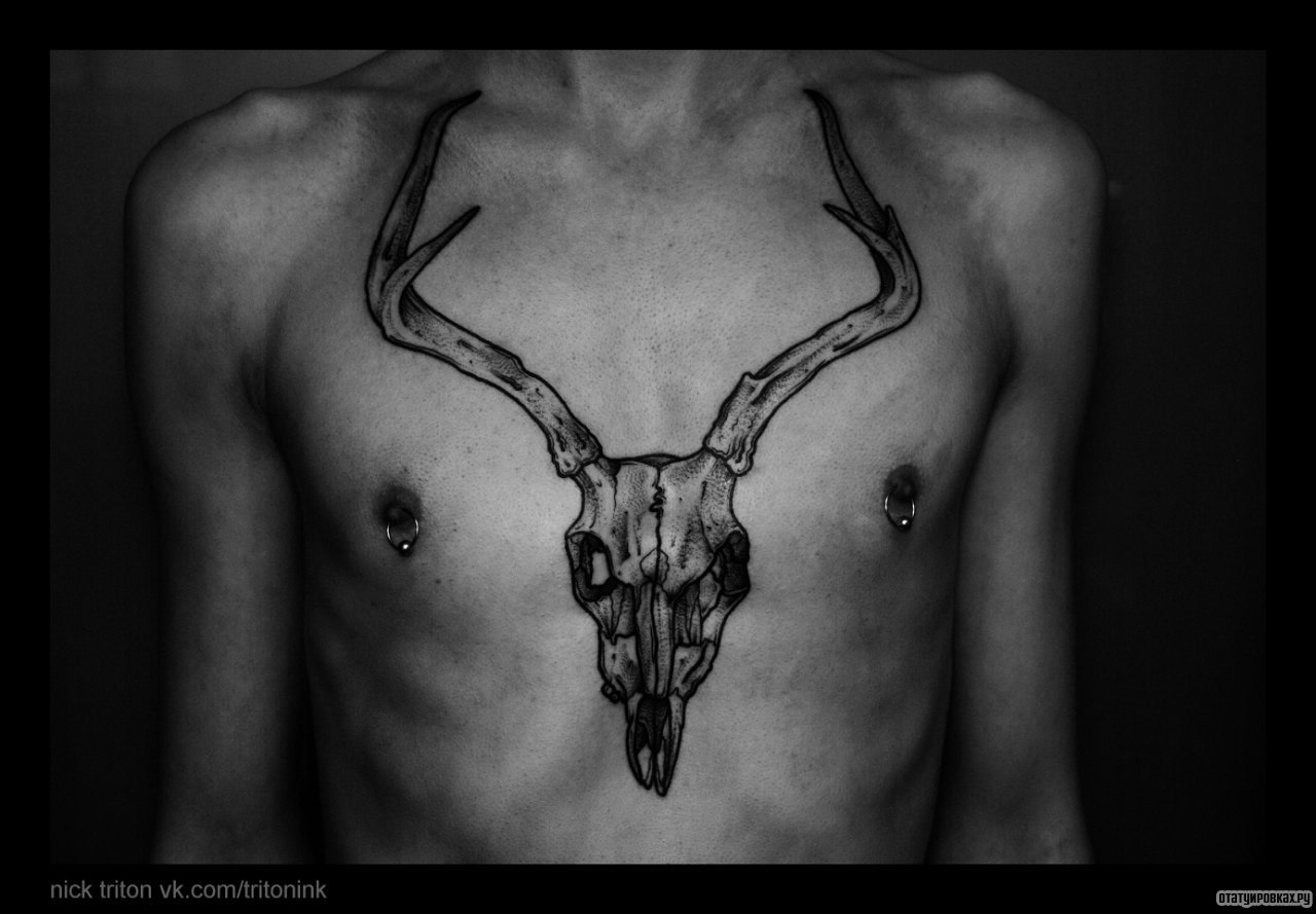 Фотография татуировки под названием «Череп оленя»