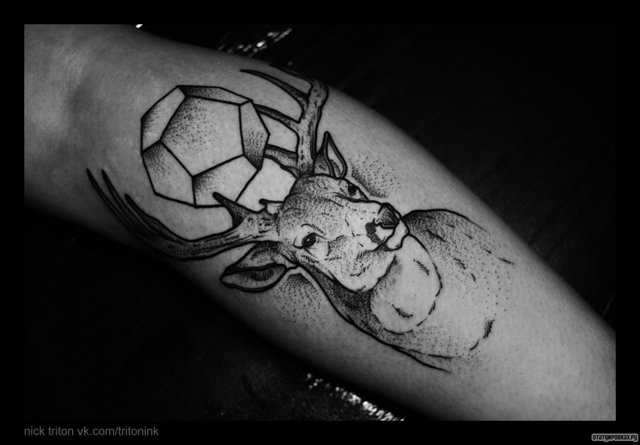 Фотография татуировки под названием «Олень с камнем на голове»
