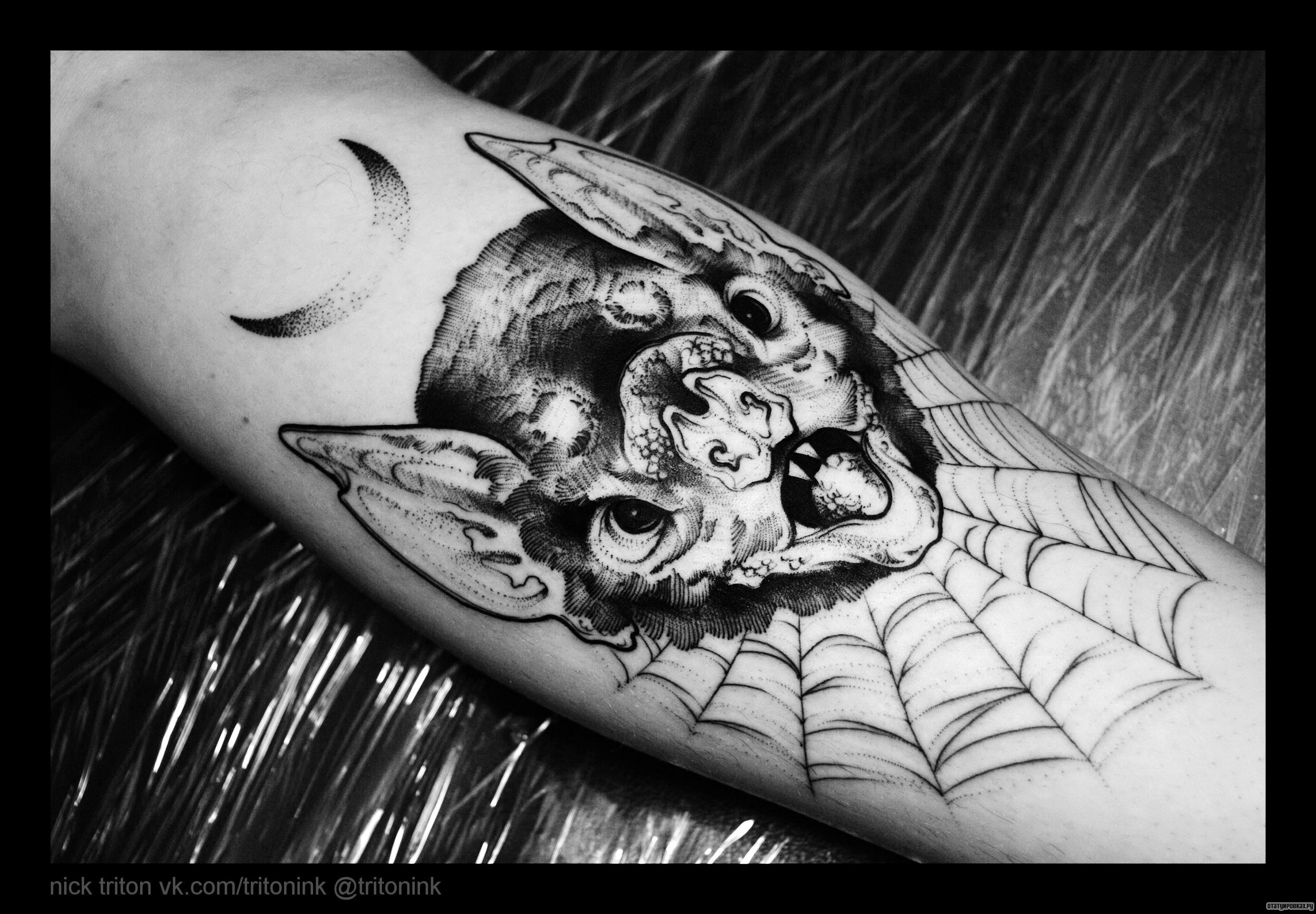 Фотография татуировки под названием «Голова летучей мыши с паутиной»