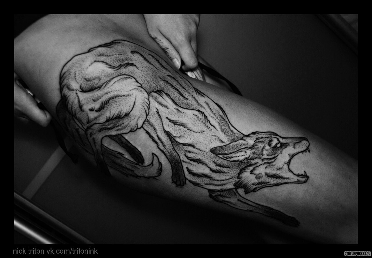 Фотография татуировки под названием «Лиса оскал»