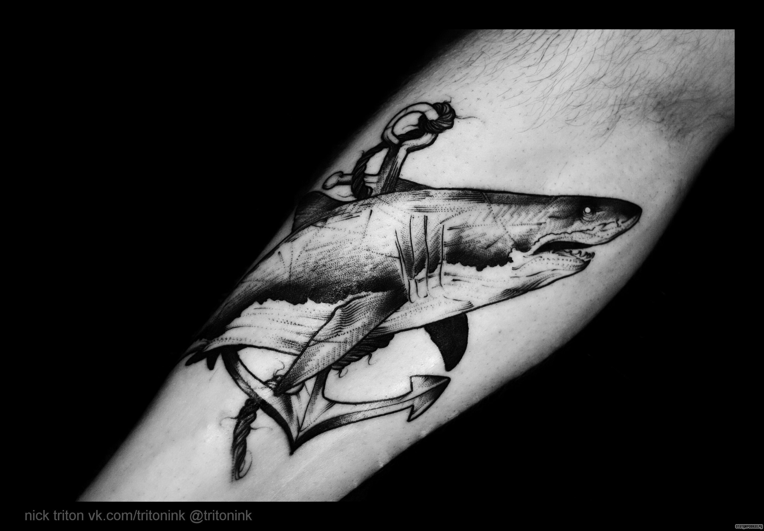 Фотография татуировки под названием «Кит с якорем»