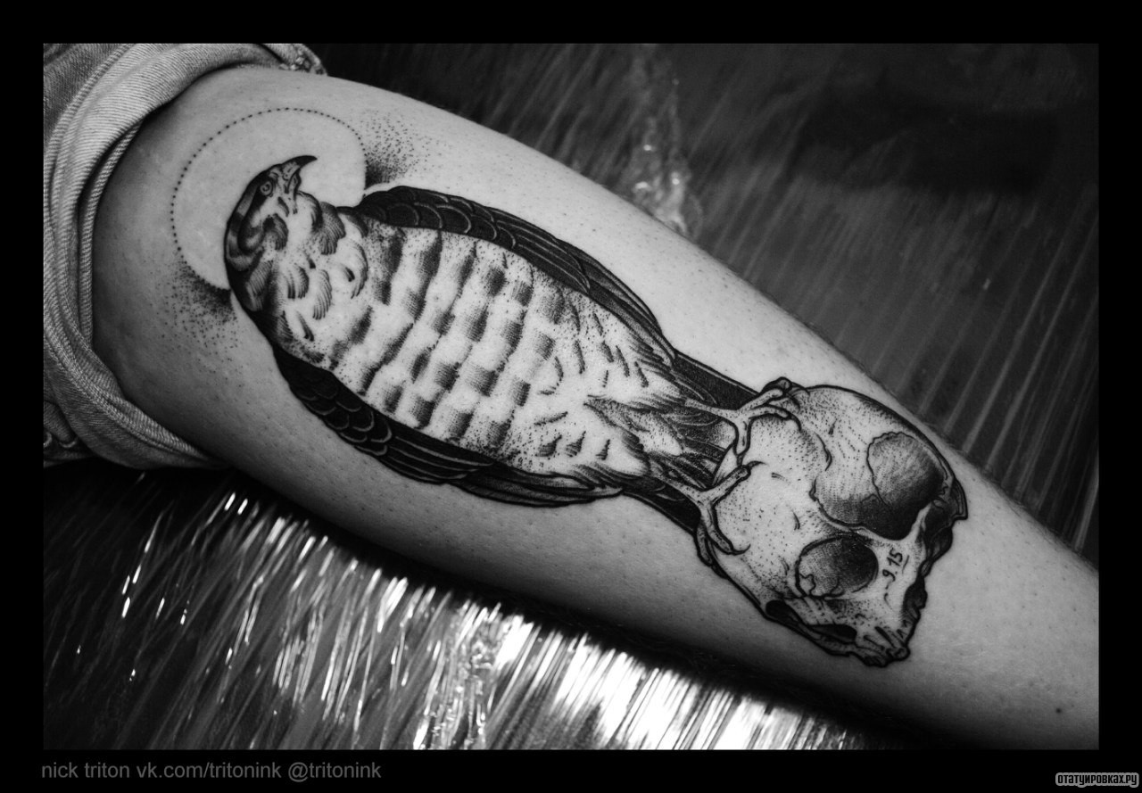 Фотография татуировки под названием «Сокол на черепе»