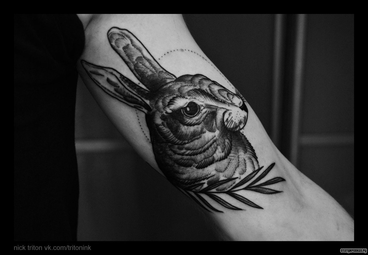 Фотография татуировки под названием «Заяц и ветка»