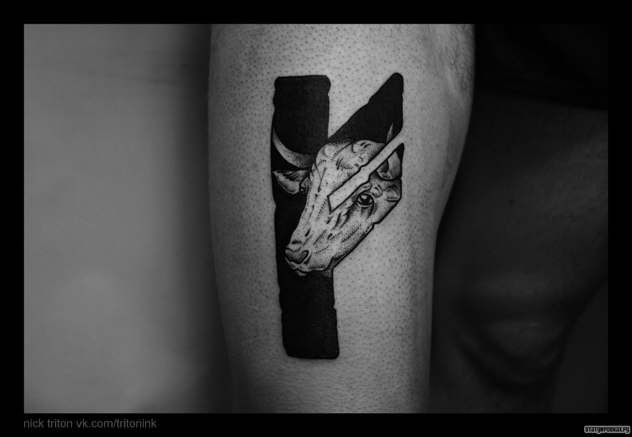 Фотография татуировки под названием «Голова быка в руне»